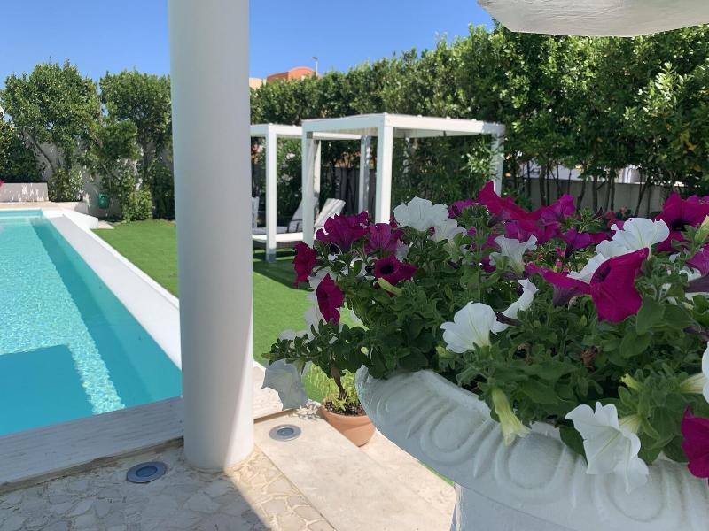 White House Luxury Hospitality - Genel