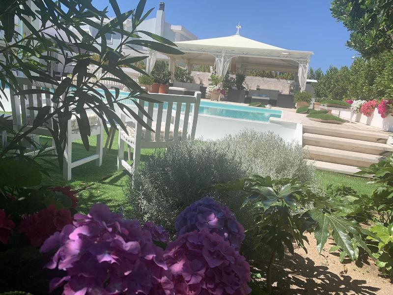 White House Luxury Hospitality - Genel