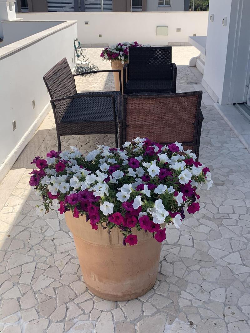 White House Luxury Hospitality - Oda