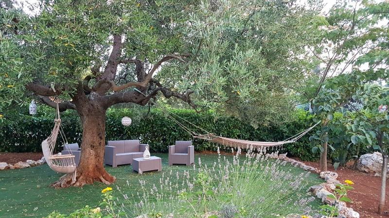 B&B All'Ombra degli Ulivi - Genel