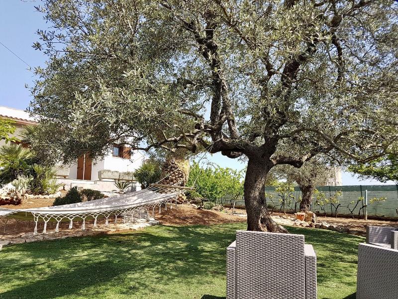 B&B All'Ombra degli Ulivi - Teras