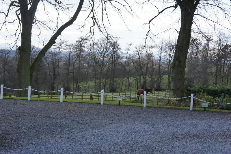 Best Western Appleby Manor - Genel