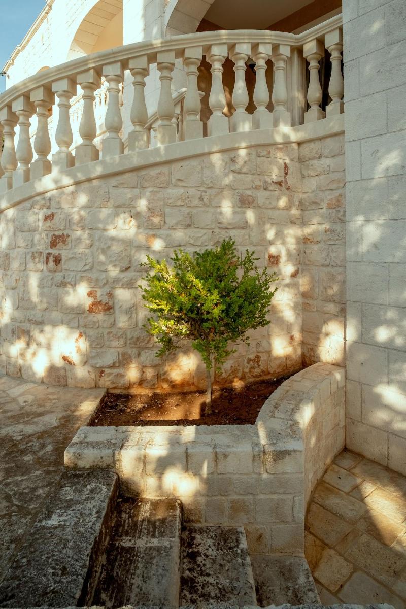 Holiday Gli Archi - Genel