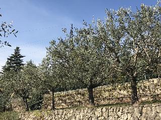 Valpolicella Hills otel fotoğrafı