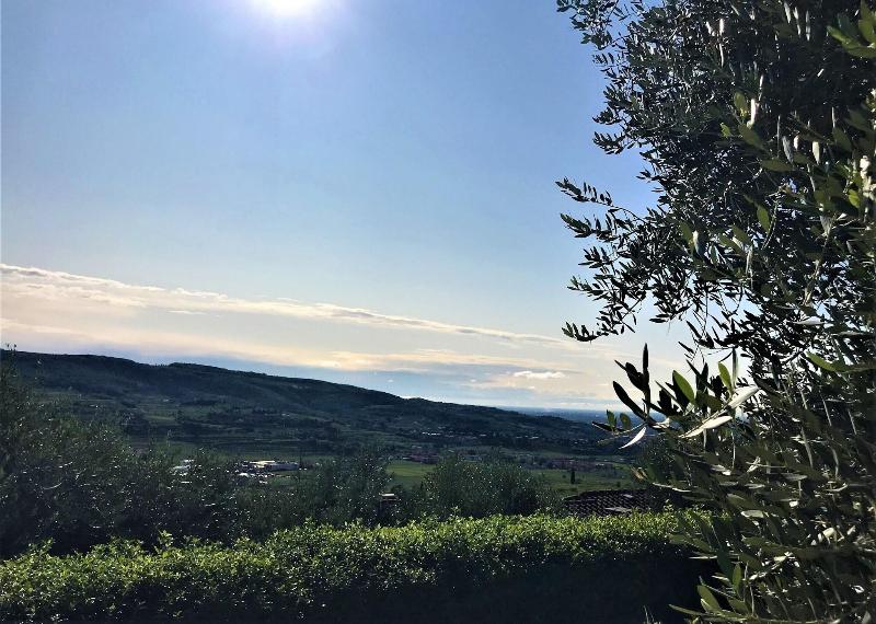 Valpolicella Hills - Genel