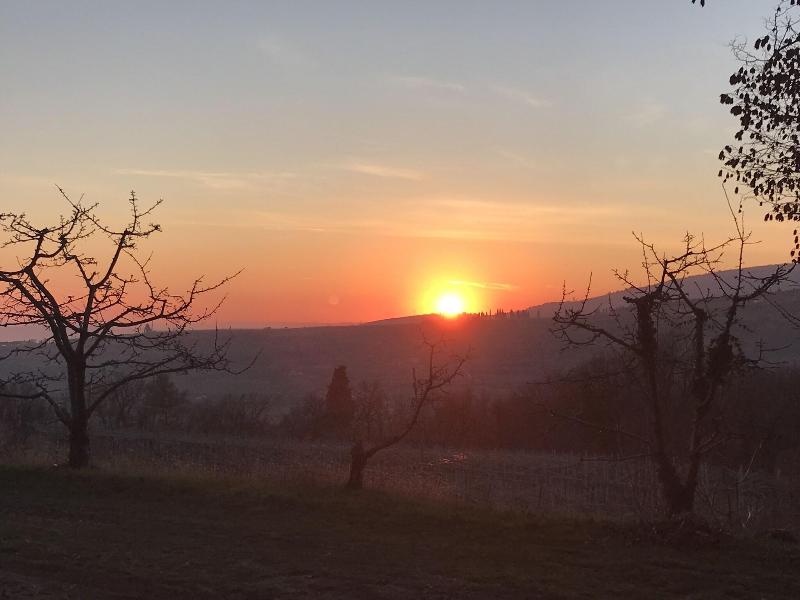 Valpolicella Hills - Genel