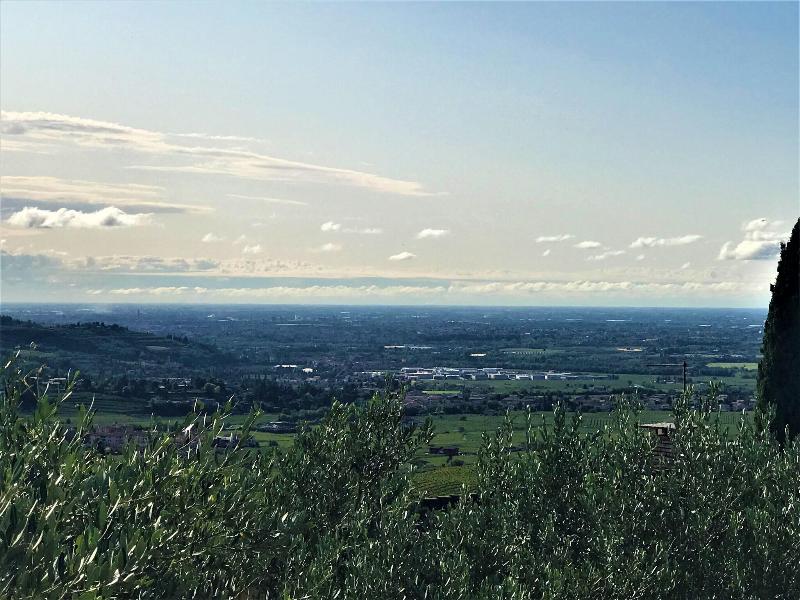 Valpolicella Hills - Genel