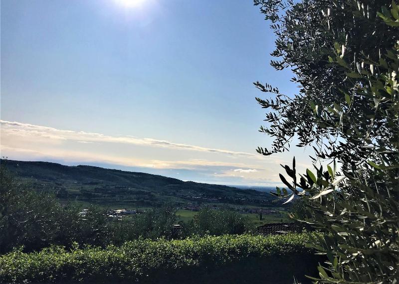 Valpolicella Hills - Genel