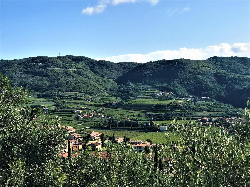 Valpolicella Hills - Genel