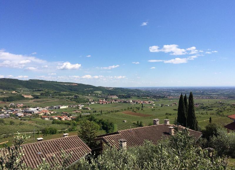 Valpolicella Hills - Oda