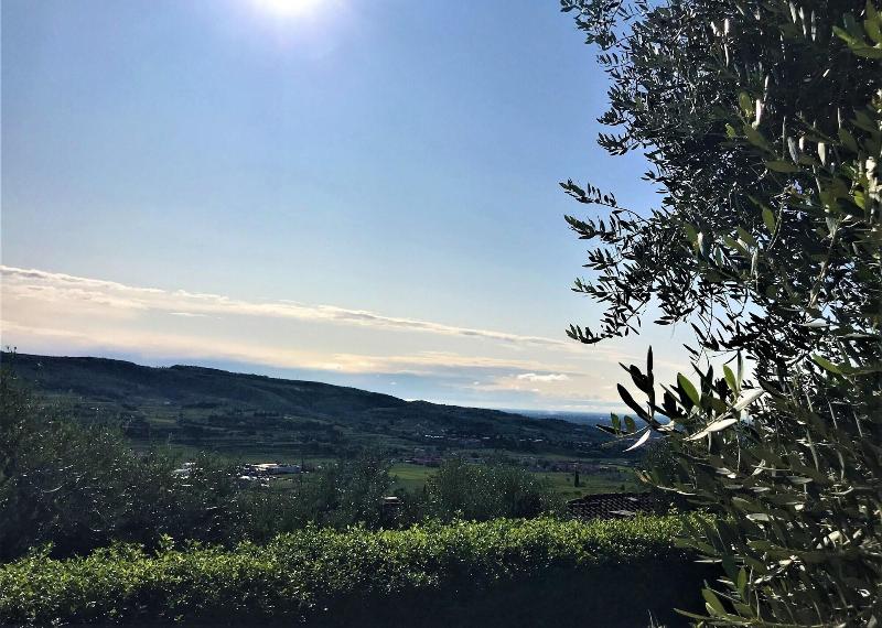 Valpolicella Hills - Oda