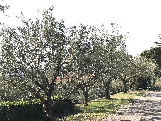 Valpolicella Hills fotoÄŸrafÄ±