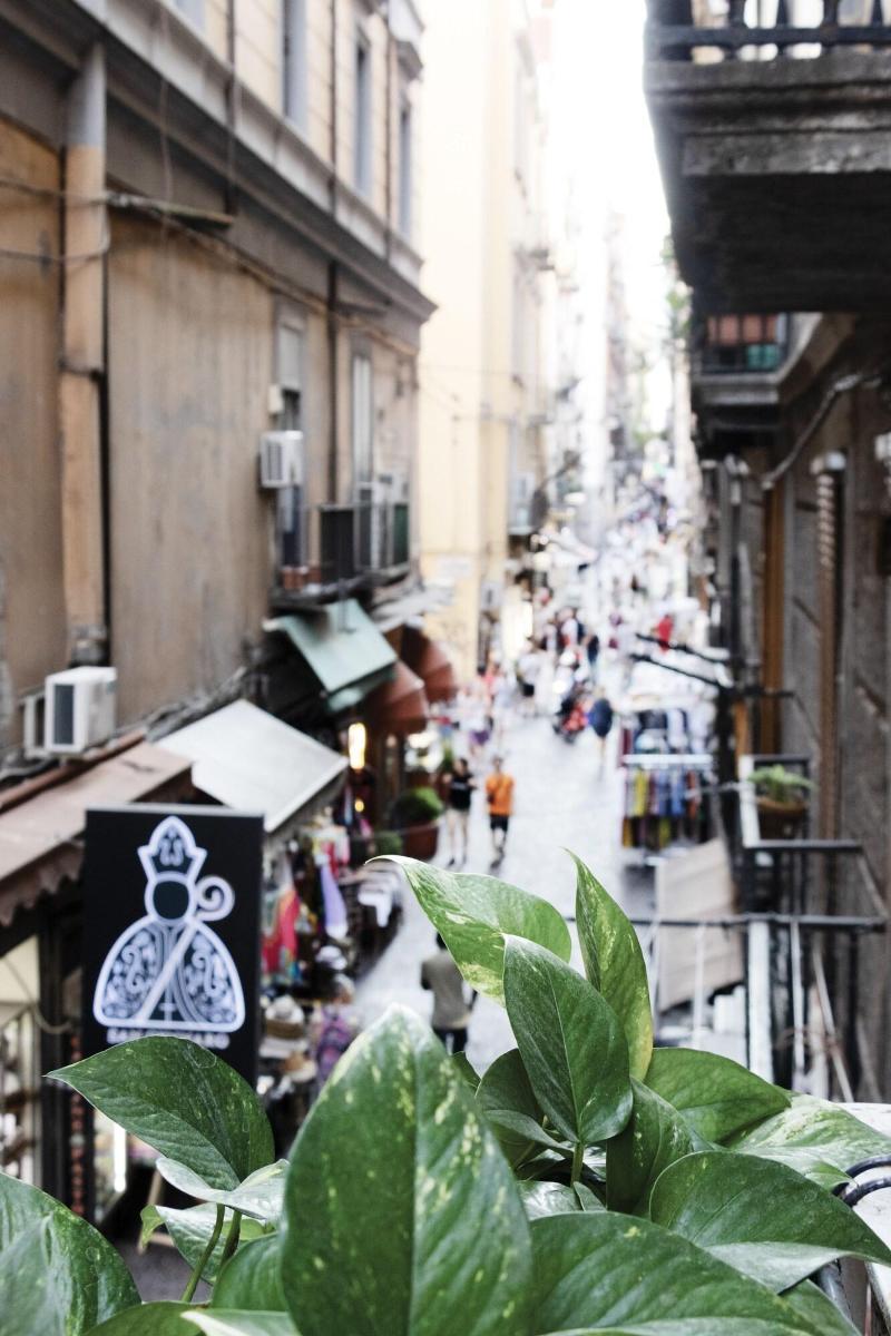 Napoli Napoli - Genel