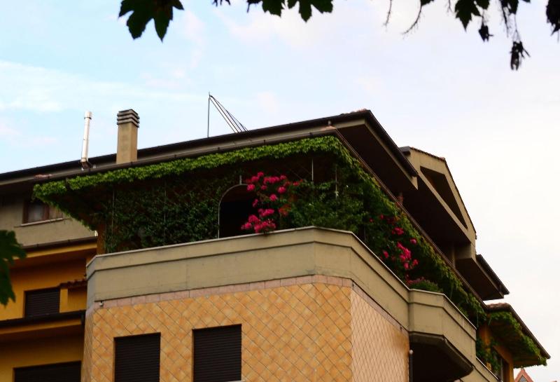 B&B Tribunale - Genel