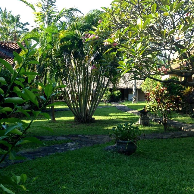 Le Jardin - Genel
