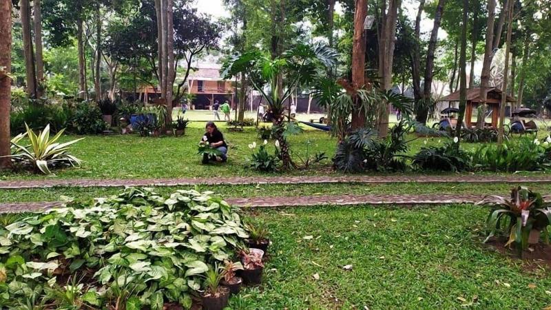 Ronia Mountain Villa Lembang - Genel