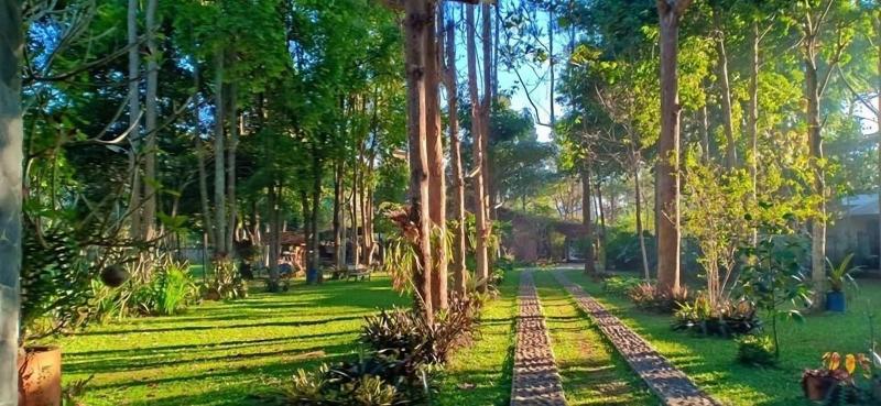 Ronia Mountain Villa Lembang - Genel