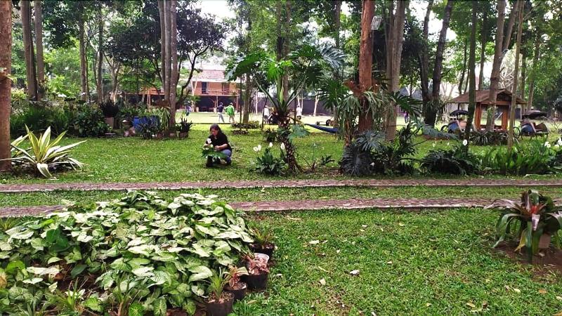 Ronia Mountain Villa Lembang - Genel