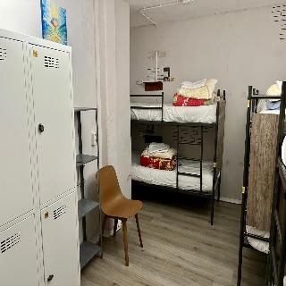 The Golden Stork - Hostel fotoÄŸrafÄ±