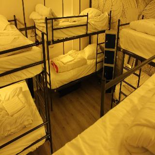 The Golden Stork - Hostel fotoÄŸrafÄ±