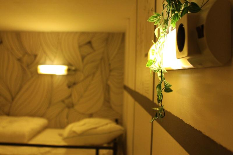 The Golden Stork - Hostel - Oda