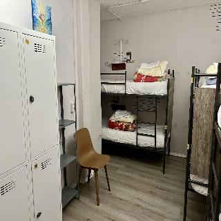 The Golden Stork - Hostel fotoÄŸrafÄ±