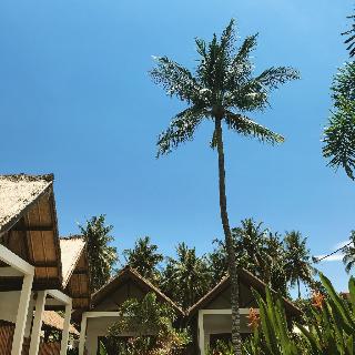Cozy Cottages Lombok otel fotoğrafı