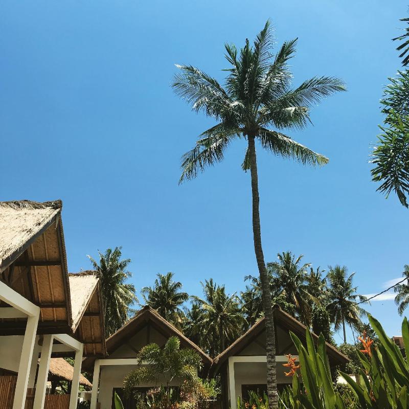 Cozy Cottages Lombok - Genel