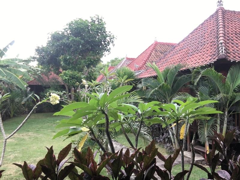 Island Garden Huts & Yoga Shala - Genel