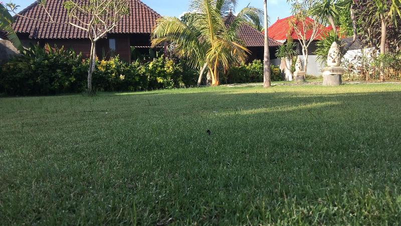 Island Garden Huts & Yoga Shala - Genel