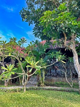 Island Garden Huts & Yoga Shala fotoÄŸrafÄ±