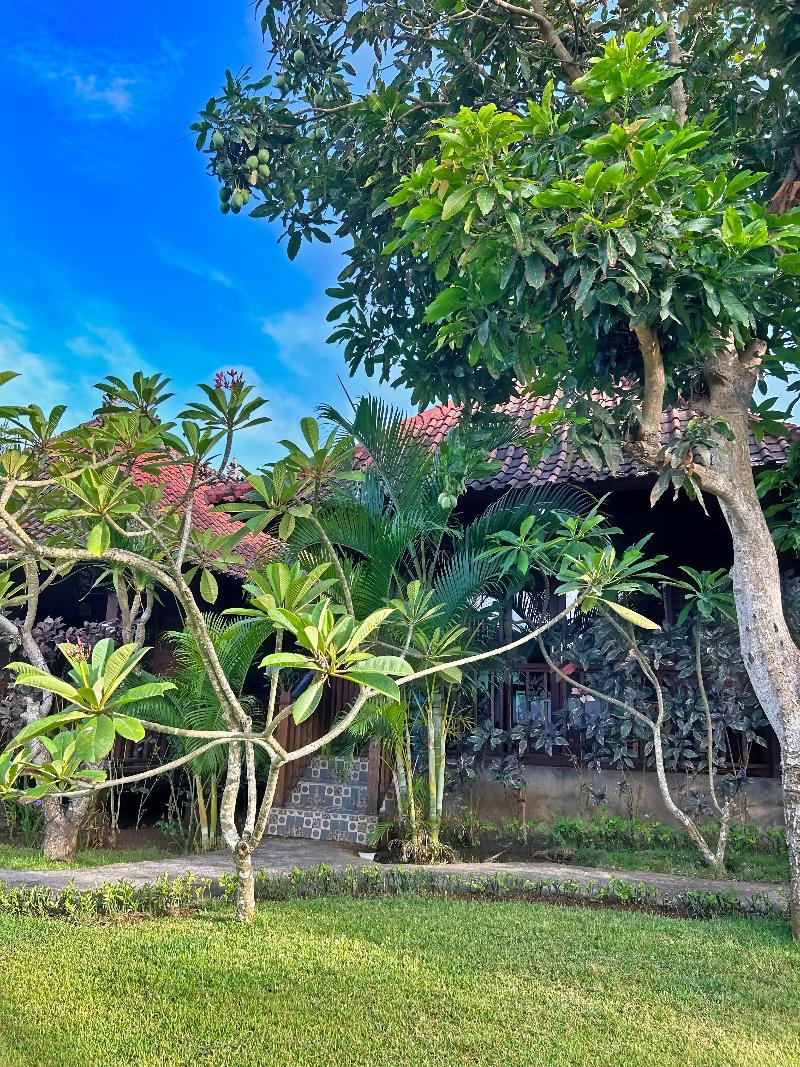 Island Garden Huts & Yoga Shala - Genel