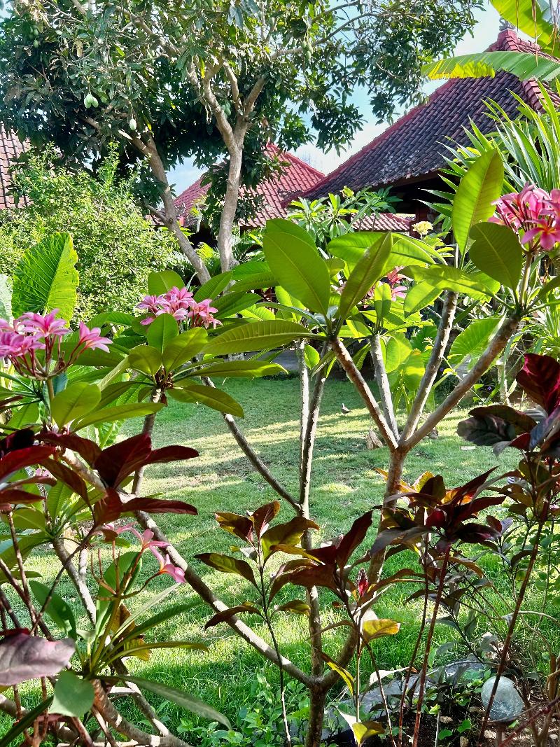Island Garden Huts & Yoga Shala - Genel