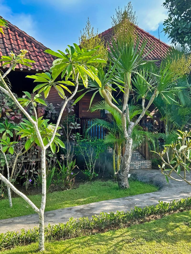 Island Garden Huts & Yoga Shala - Genel