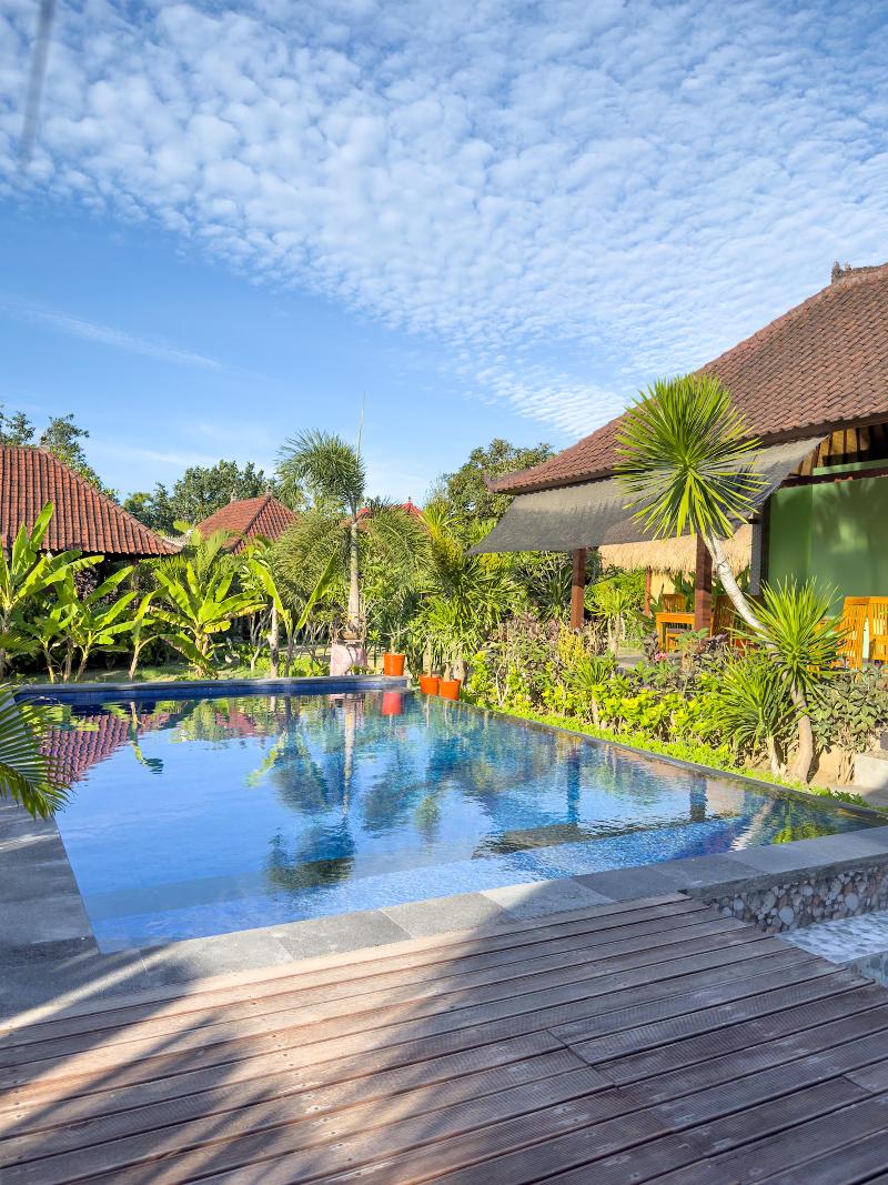 Island Garden Huts & Yoga Shala - Havuz