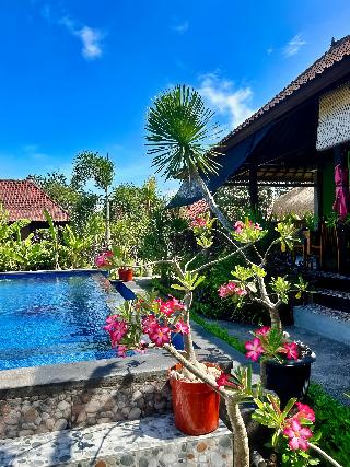 Island Garden Huts & Yoga Shala fotoÄŸrafÄ±