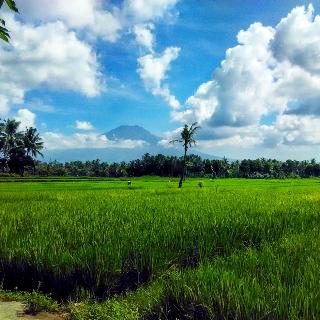 Harris Ijen Crater Homestay by ZUZU fotoÄŸrafÄ±