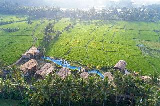Beehouse Dijiwa Ubud otel fotoğrafı