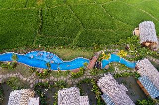 Beehouse Dijiwa Ubud fotoÄŸrafÄ±