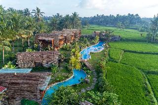 Beehouse Dijiwa Ubud fotoÄŸrafÄ±