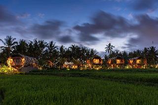 Beehouse Dijiwa Ubud fotoÄŸrafÄ±