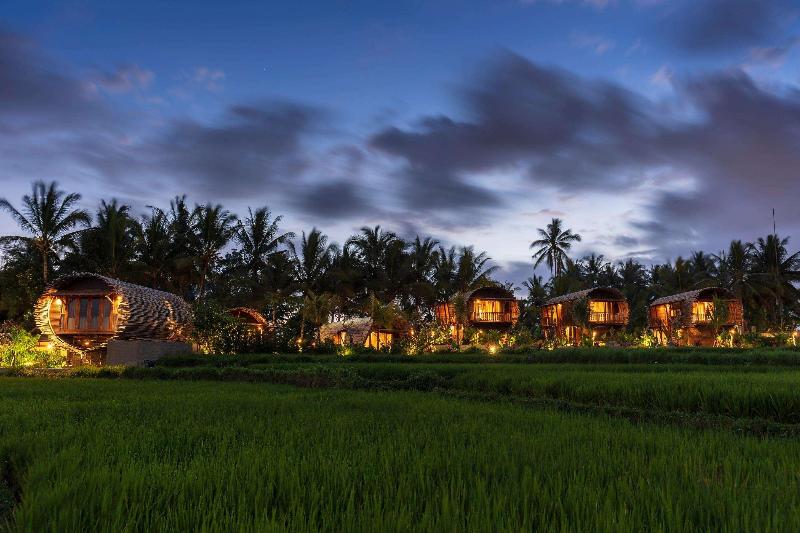 Beehouse Dijiwa Ubud - Genel