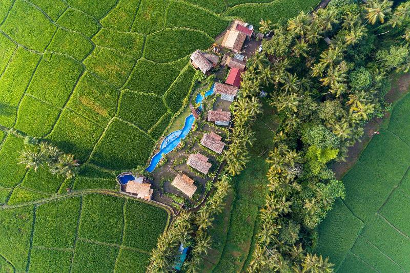 Beehouse Dijiwa Ubud - Genel