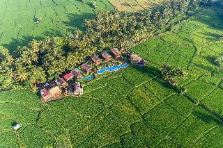 Beehouse Dijiwa Ubud fotoÄŸrafÄ±