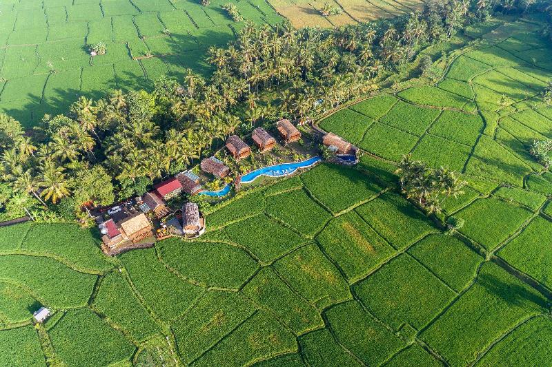 Beehouse Dijiwa Ubud - Genel