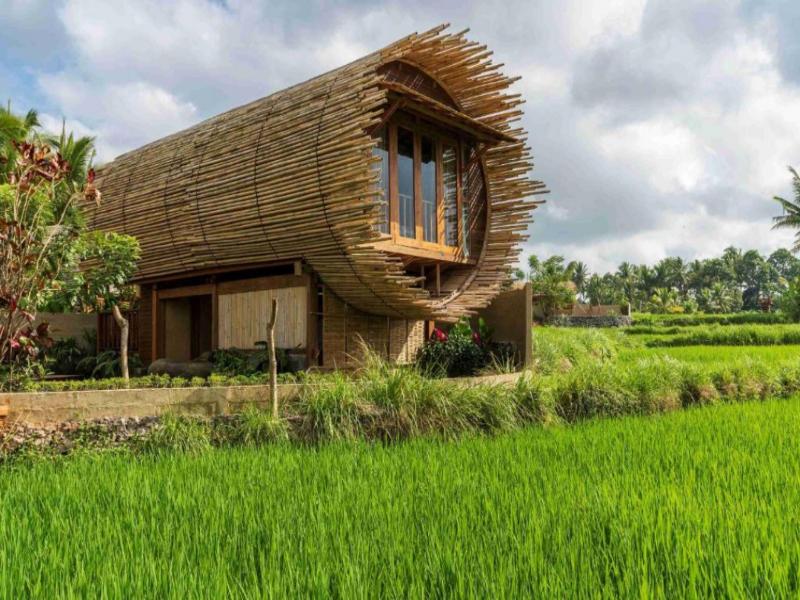 Beehouse Dijiwa Ubud - Oda