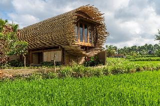 Beehouse Dijiwa Ubud fotoÄŸrafÄ±