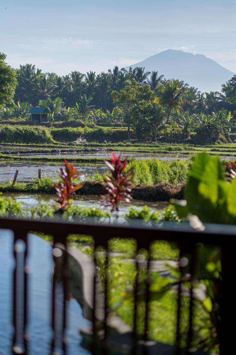 Beehouse Dijiwa Ubud - Oda