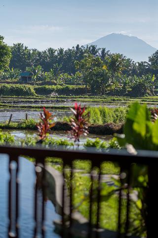 Beehouse Dijiwa Ubud fotoÄŸrafÄ±