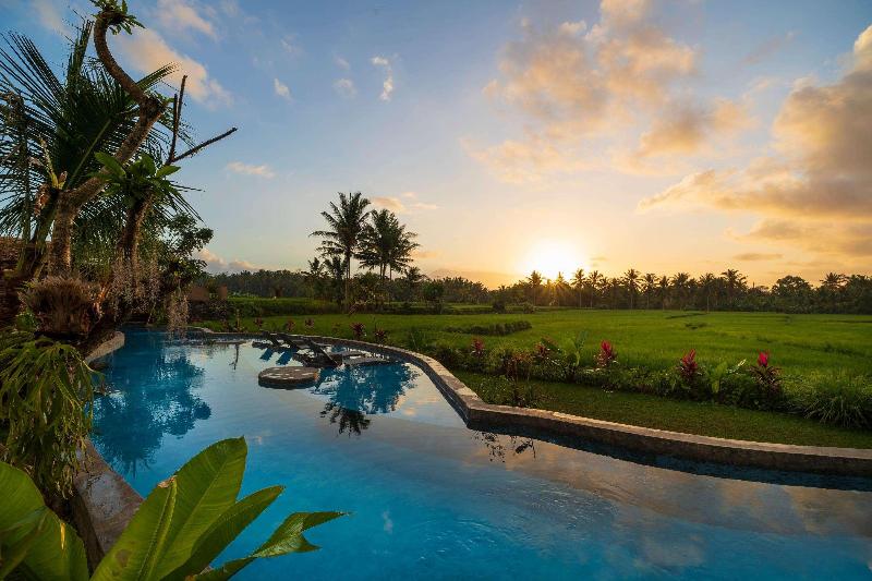 Beehouse Dijiwa Ubud - Havuz